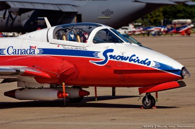 Canadian Snowbird