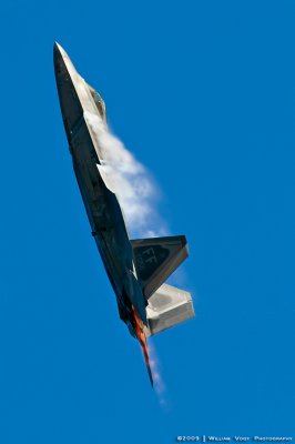 F-22 Raptor