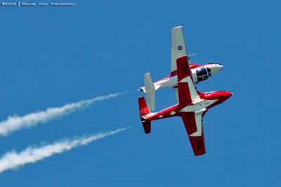 Snowbirds