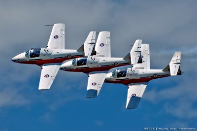 Canadian Snowbirds