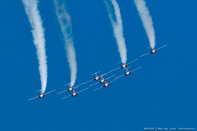 Snowbirds 2009