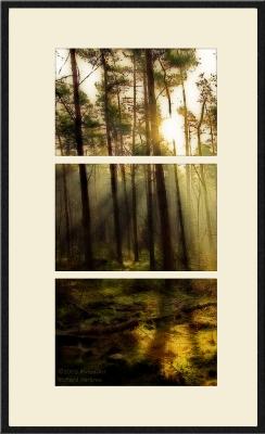 Retouch with Triptych Frame