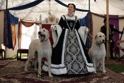 Mary Queen of Scots and the Irish Wolfhounds of NCIWC