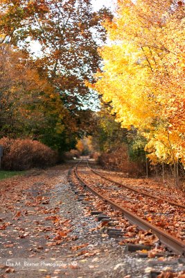 Fall Railroad Tracks