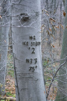 Ice Storm