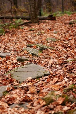 Stone Path