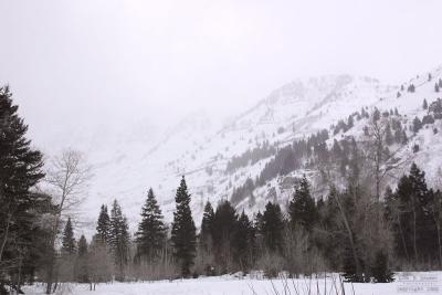 Snow Storm at Sundance