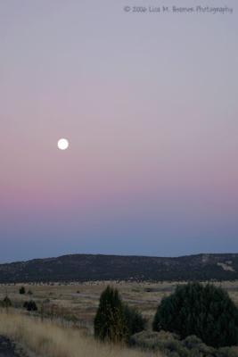 g3/83/485083/3/58750786.moon12.jpg