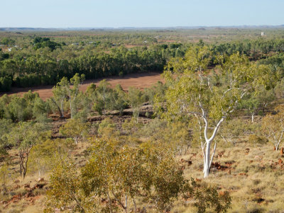 The Cloncurry River