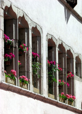 fentres gothiques et graniums