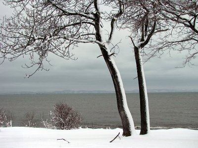 g3/83/550183/3/110905468.o2ahMk4U.jpg