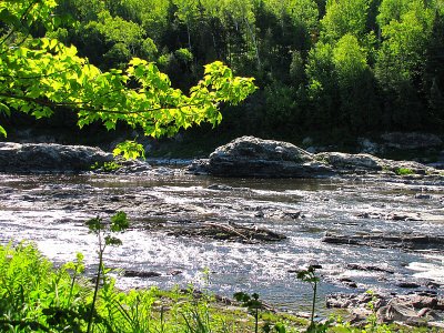 g3/83/550183/3/113565154.ltGPJdeS.jpg