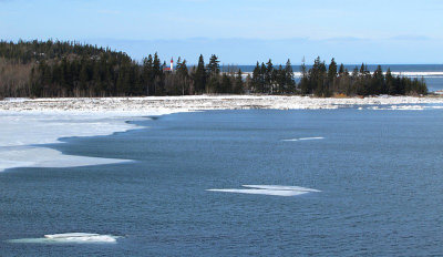g3/83/550183/3/121493831.CMtyFrlN.jpg