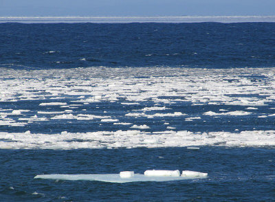 g3/83/550183/3/121520910.bouc09ru.jpg