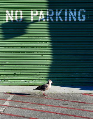 No Parking