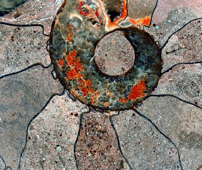 g3/83/550183/3/53867316.ammonitefossile.jpg