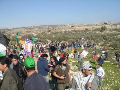 Palestinian Manifestation