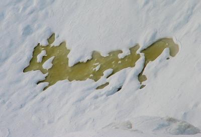 g3/83/550183/3/56504507.lerenardeau.jpg