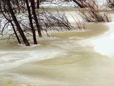 Fausse glace