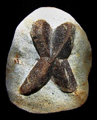 g3/83/550183/3/58360091.croixdestx.jpg
