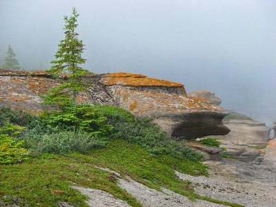 g3/83/550183/3/88088016.46vSSPk2.jpg