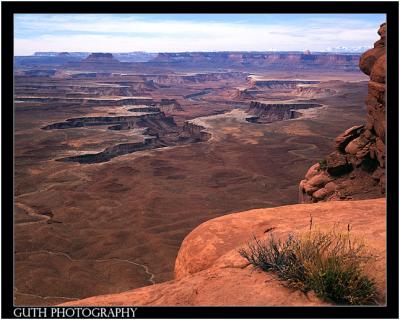 The Green River