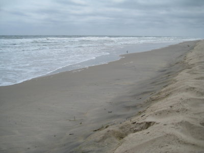 IMG_2225.JPG