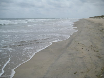 IMG_2250.JPG