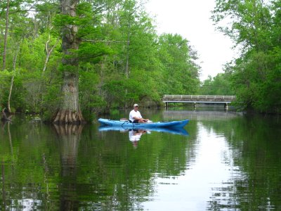 IMG_1671.JPG