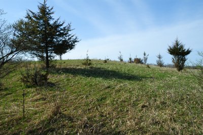 Carver Park Reserve