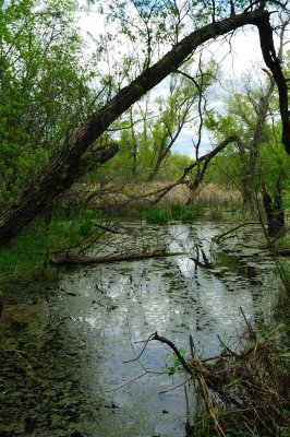 g3/83/560483/3/124163538.XFYF89Se.jpg