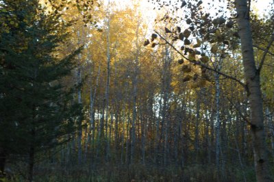 DSC_7242.JPG
