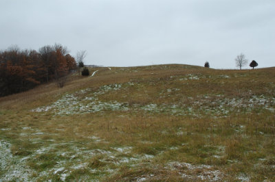 DSC_7312.JPG