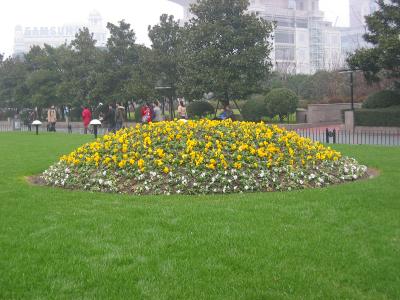 park outside of museum