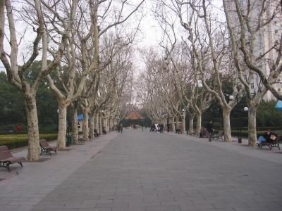 park