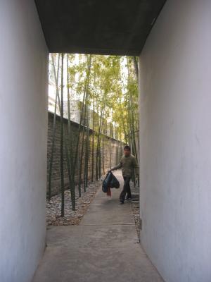 japanese restaurant through here..