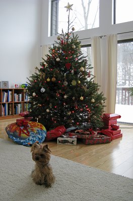 Christmas IV