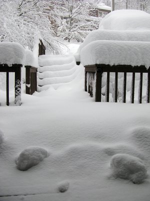 Snowstorm II
