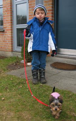 Christian walking Penny