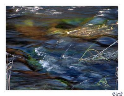 Peinture...a l'eau??