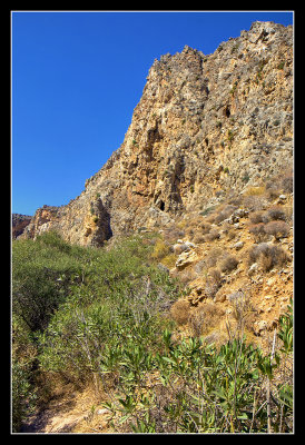 Gorge of the Dead