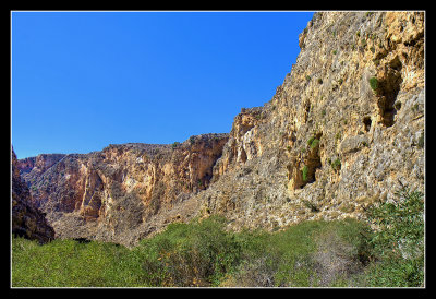 Gorge of the Dead