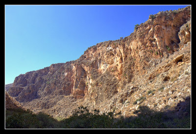 Gorge of the Dead