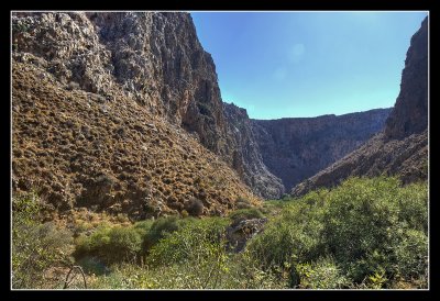 Gorge of the Dead