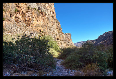 Gorge of the Dead