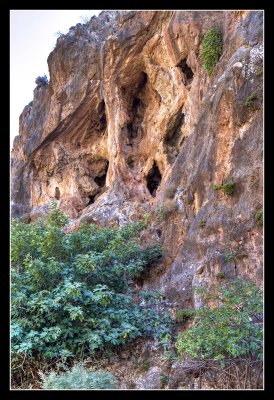 Cliff Wall - Gorge of the Dead