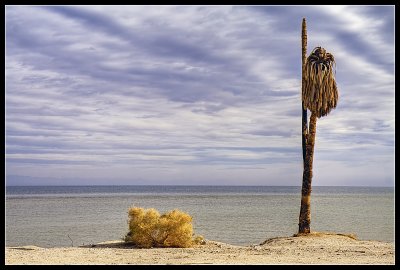 Salton City - Ghost Lake