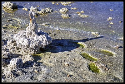 Salton Sea - Receeding Shoreline