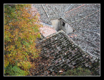 Roofs