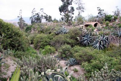 ecuatorial garden.jpg